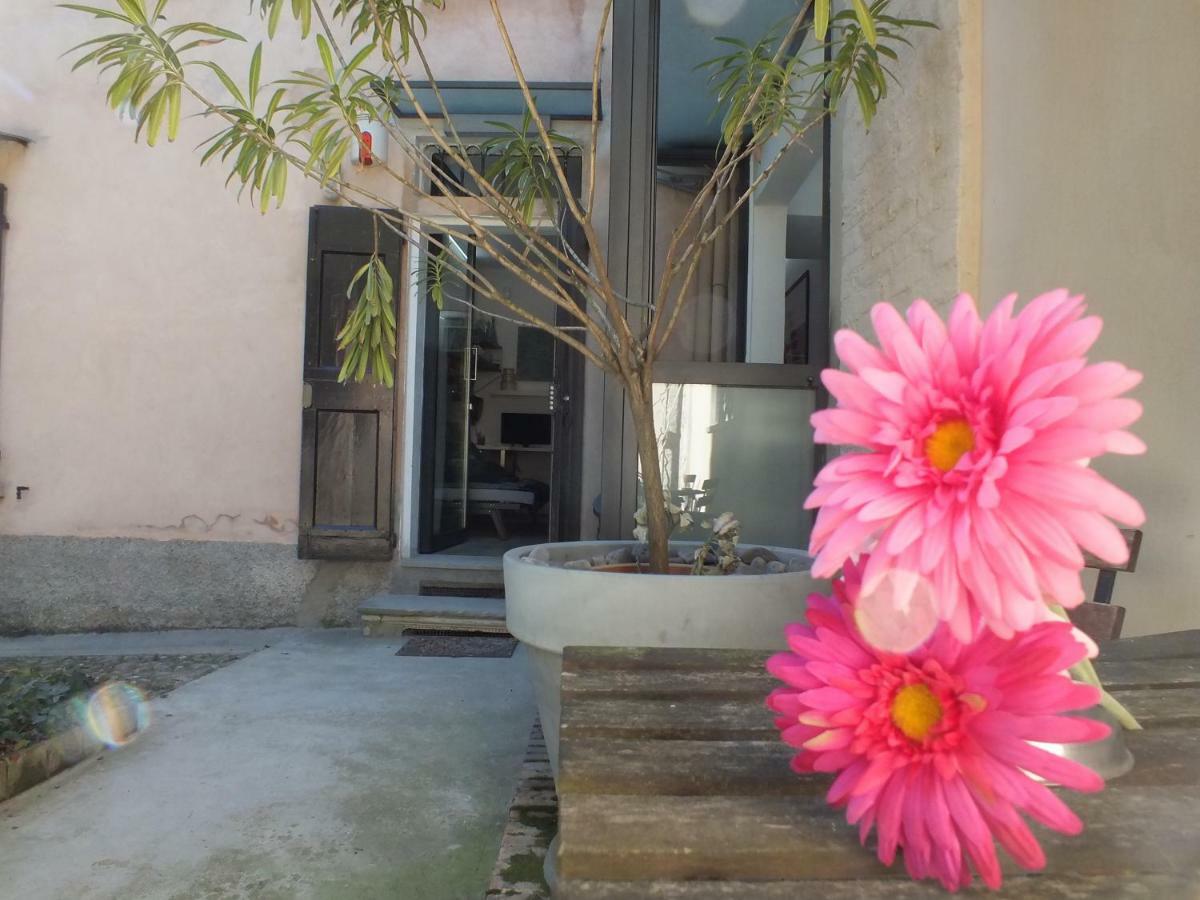 Loft Garden In Bologna'S Heart Ospedale Rizzoliアパートメント エクステリア 写真